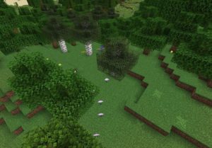 Мод Wilder Wilds 1.16.5 Мод Wilder Wilds 1.16.5