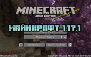 Скачать Майнкрафт 1.17.1 Java Edition