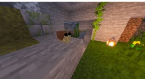 Мод Sea And Prehistory 1.16.5 Мод Sea And Prehistory 1.16.5