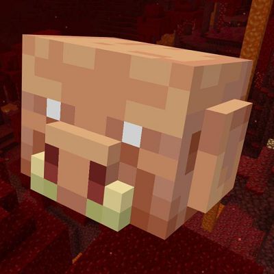 Мод Sapience для Майнкрафт 1.16.5