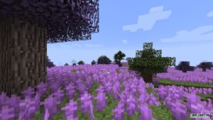 Biomes O’ Plenty 1.20.2, 1.19.4, 1.18.2, 1.17.1, 1.16.5, 1.15.2, 1.12.2