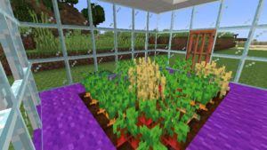 Мод Pane In The Glass 1.17.1, 1.16.5, 1.15.2