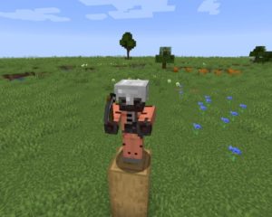 Мод Zombienation для Майнкрафт 1.16.5 Мод Zombienation для Майнкрафт 1.16.5