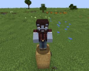 Мод Zombienation для Майнкрафт 1.16.5 Мод Zombienation для Майнкрафт 1.16.5