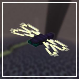 Мод Ripplers для Майнкрафт 1.17.1, 1.16.5