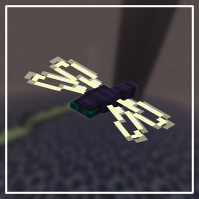 Мод Ripplers для Майнкрафт 1.17.1, 1.16.5