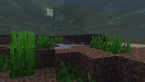 Мод Aquafina для Майнкрафт 1.16.5 Мод Aquafina для Майнкрафт 1.16.5