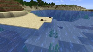 Мод Aquafina для Майнкрафт 1.16.5 Мод Aquafina для Майнкрафт 1.16.5