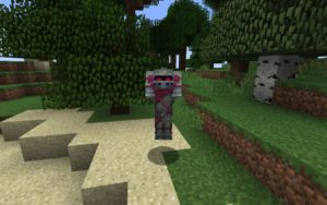 Мод Emotecraft 1.17.1, 1.16.5 (эмоции игрока)