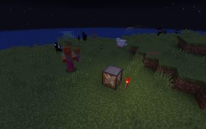 Мод Ward Blocks 1.17.1, 1.16.5