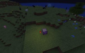 Мод Ward Blocks 1.17.1, 1.16.5