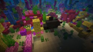 Мод Aquafina для Майнкрафт 1.16.5 Мод Aquafina для Майнкрафт 1.16.5