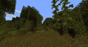 Мод Generic Ecosphere 1.17.1, 1.16.5 Мод Generic Ecosphere 1.17.1, 1.16.5