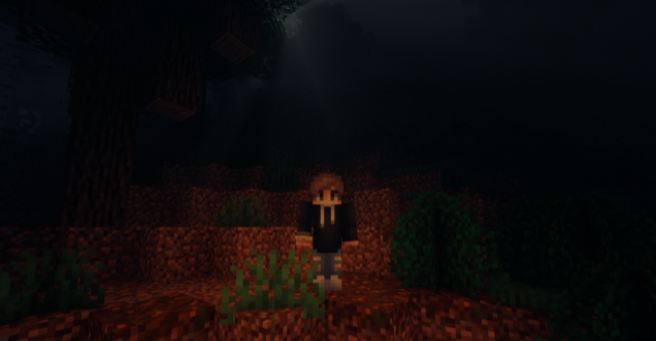 TCT Flashlight 1.16.5