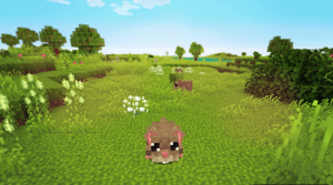 Corundum Meadows - красочные биомы Corundum Meadows - красочные биомы