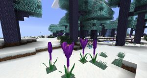 Feywild — феи, гномы, магия Feywild — феи, гномы, магия