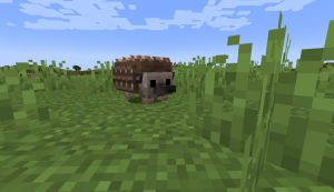 Hedgehogs - милые ежики Hedgehogs - милые ежики