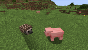 Hedgehogs - милые ежики Hedgehogs - милые ежики