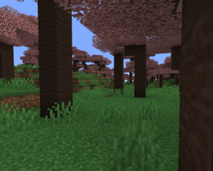 TB-Addition+ - красивые биомы