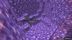 Dragon Pets — домашний дракон Dragon Pets — домашний дракон