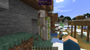 WTHIT — характеристики объекта