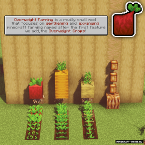 Overweight Farming — увеличение урожая Overweight Farming — увеличение урожая
