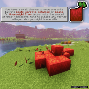 Overweight Farming — увеличение урожая Overweight Farming — увеличение урожая