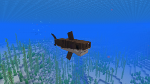 Sharks - новые виды акул