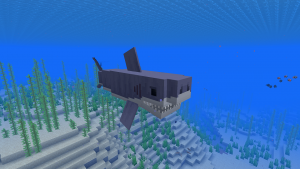 Sharks - новые виды акул