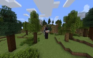 Bleach Vibes - уникальный путь развития Bleach Vibes - уникальный путь развития