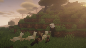 Critters and Companions - уникальные животные Critters and Companions - уникальные животные