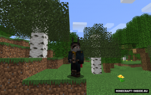 Queen Bee - пчелиная королева