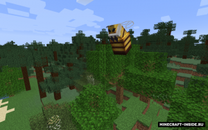 Queen Bee - пчелиная королева