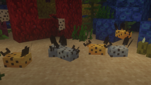 Critters and Companions - уникальные животные Critters and Companions - уникальные животные