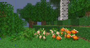 Delightful — новая еда Delightful — новая еда