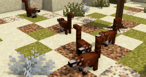 Sonorama - животные из Аридоамерики