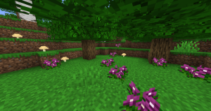 BetterDefaultBiomes - улучшенные биомы