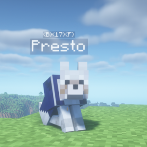 Doggy Talents Next - прокачивание собак