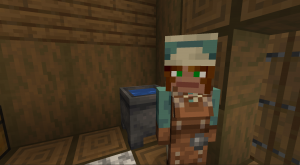 Female Villagers: женские версии жителей и других мобов