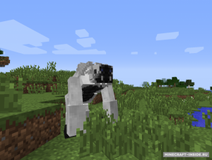 Grimoire of Gaia - мощные монстры и интересные предметы