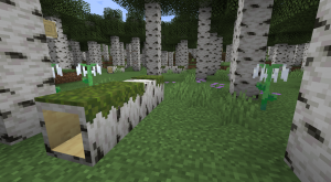 Добавьте новые биомы, упавшие бревна и цветы с модом Missing Wilds