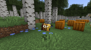 Добавьте новые биомы, упавшие бревна и цветы с модом Missing Wilds