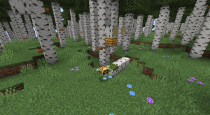 Добавьте новые биомы, упавшие бревна и цветы с модом Missing Wilds