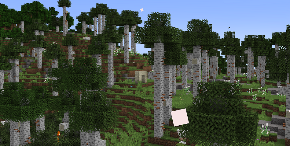 Silver Birch: воссоздание обновления берёзового леса 1 Silver Birch: воссоздание обновления берёзового леса