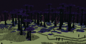 Endless Biomes: расширение мира Края с тремя новыми биомами