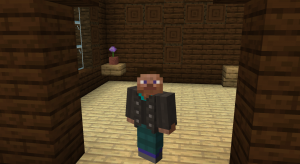 Illager Revolution - уникальные враги и волшебные сражения