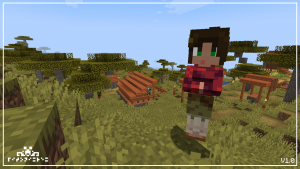 Villagirls — перевоплощение деревенских жителей