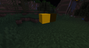 Night's Light: ночные светлячки