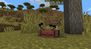 Species: модификация для новых существ