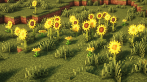 Fabulous Foliage: улучшение внешнего вида растений